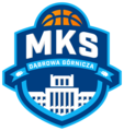 MKS DABROWA GORNICZA Team Logo